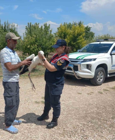 elazigda-yarali-leylek-koruma-altina-alindi-28wftqzR.jpg