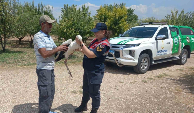 elazigda-yarali-leylek-koruma-altina-alindi-28wftqzR.jpg