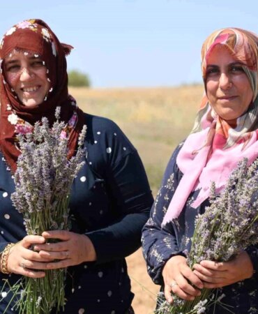 elazigin-pelte-koyunde-gelin-ve-gorumce-lavanta-uretimiyle-ekonomik-kazanc-sagliyor-d7j1li6a.jpg