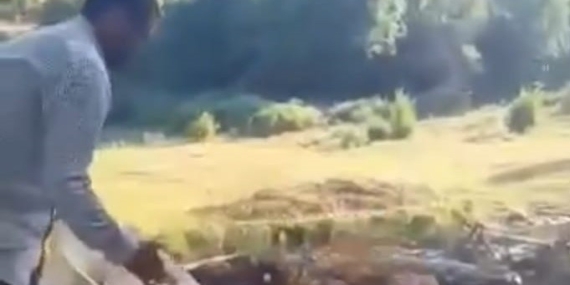 Malatya’da Kayısı Üreticisinin Tepkisi: Kayısıları Dereye Döktü