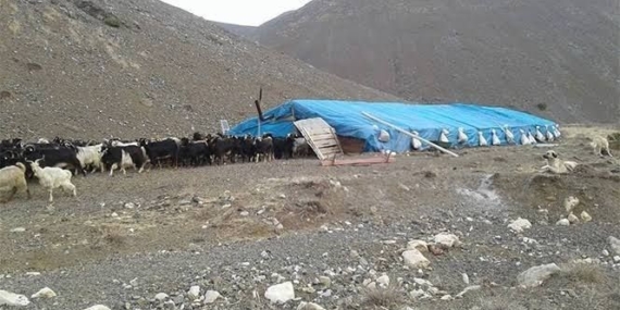 Van'ın Erciş İlçesinde Çobanlar Arasında Silahlı Kavga: 1 Ölü, 3 Yaralı Van’ın Erciş İlçesinde Çobanlar Arasında Silahlı Kavga: 1 Ölü, 3 Yaralı