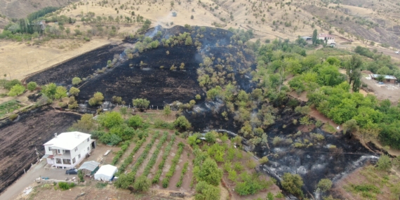 Elazığ’da 200 Dönümlük Alan Yangında Kül Oldu