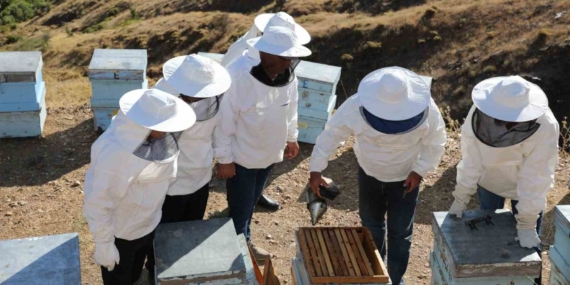 Elazığ’da Geven Balı İlk Hasat Etkinliği Düzenlendi Elazığ’da Geven Balı İlk Hasat Etkinliği Düzenlendi