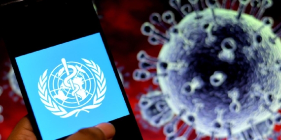 Maymun Çiçeği Virüsü Tehdidi Büyüyor: DSÖ, Uyarılarda Bulunuyor! Maymun Çiçeği Virüsü Tehdidi Büyüyor: DSÖ, Uyarılarda Bulunuyor!