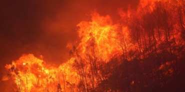 İzmir'de Yangın Felaketi: Alevler Konutlara Sıçradı ed67709d-5e21-49fe-8312-7869cb3d0502