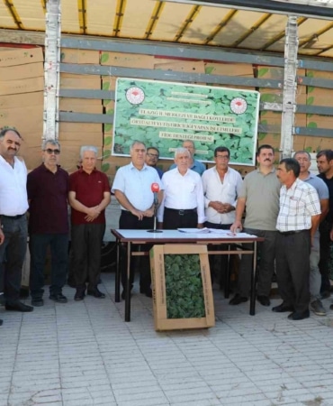 elazigda-42-ureticiye-fide-dagitildi-QkWkqLkl.jpg
