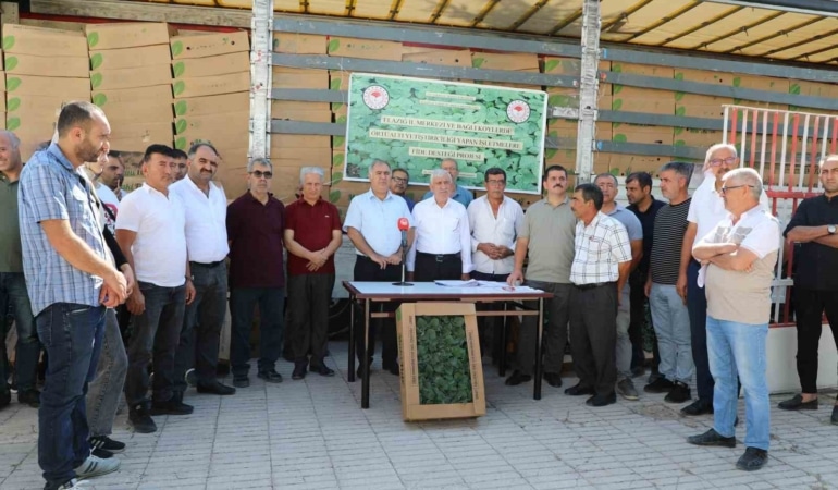 elazigda-42-ureticiye-fide-dagitildi-QkWkqLkl.jpg