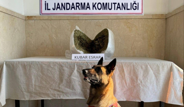 elazigda-7-kilo-esrar-ele-gecirildi-1-gozalti-bG7pvIHO.jpg