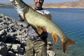 elazigda-amator-balikci-41-kilogramlik-turna-baligi-yakaladi-sXeP3214.jpg