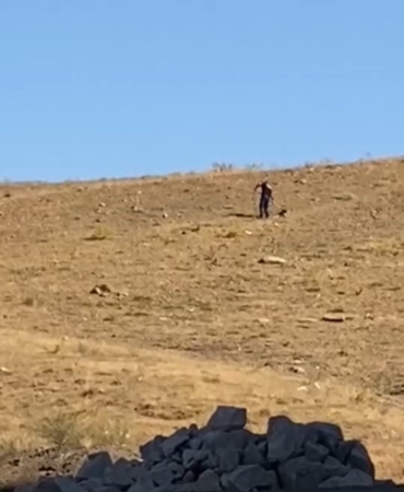 elazigda-basibos-sokak-kopekleri-kontrol-altina-aliniyor-BeFMlgdM.jpg