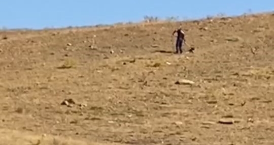Elazığ'da Başıboş Sokak Köpekleri Kontrol Altına Alınıyor Elazığ’da Başıboş Sokak Köpekleri Kontrol Altına Alınıyor
