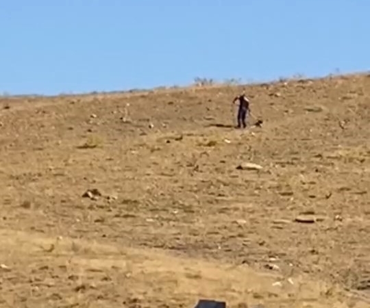 elazigda-basibos-sokak-kopekleri-kontrol-altina-aliniyor-BeFMlgdM.jpg
