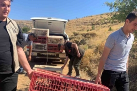 elazigda-dogaya-keklik-salimi-gerceklestirildi-alan-3-yil-boyunca-ava-kapatildi-24hEqBqz.jpg