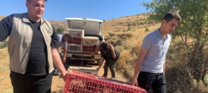 elazigda-dogaya-keklik-salimi-gerceklestirildi-alan-3-yil-boyunca-ava-kapatildi-24hEqBqz.jpg