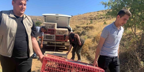 Elazığ’da doğaya keklik salımı gerçekleştirildi, alan 3 yıl boyunca ava kapatıldı Elazığ’da doğaya keklik salımı gerçekleştirildi, alan 3 yıl boyunca ava kapatıldı
