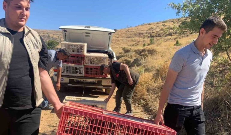 elazigda-dogaya-keklik-salimi-gerceklestirildi-alan-3-yil-boyunca-ava-kapatildi-24hEqBqz.jpg
