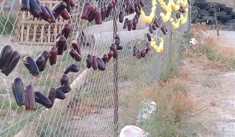 elazigda-kurutmaliklar-sokaklarin-susu-oldu-aRwvHRf1.jpg