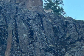 elazigda-nesli-tehlike-altinda-olan-dag-kecileri-goruntulendi-m4hYa3qm.jpg