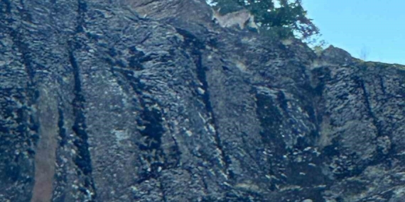 Elazığ'da Nesli Tehlike Altında Olan Dağ Keçileri Görüntülendi Elazığ’da Nesli Tehlike Altında Olan Dağ Keçileri Görüntülendi