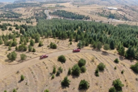 elazigda-orman-yanginlarina-karsi-yogun-tedbirler-aliniyor-cXNIvXND.jpg
