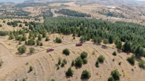 elazigda-orman-yanginlarina-karsi-yogun-tedbirler-aliniyor-cXNIvXND.jpg