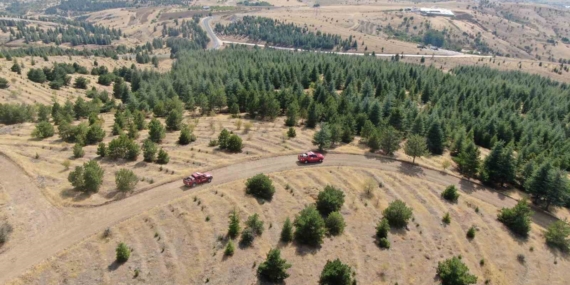 Elazığ'da Orman Yangınlarına Karşı Yoğun Tedbirler Alınıyor Elazığ’da Orman Yangınlarına Karşı Yoğun Tedbirler Alınıyor