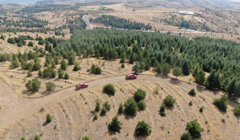 elazigda-orman-yanginlarina-karsi-yogun-tedbirler-aliniyor-cXNIvXND.jpg