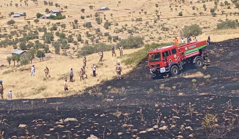 elazigda-otluk-alanda-cikan-yangin-kontrol-altina-alindi-c1zuLFW7.jpg