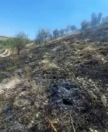 elazigda-otluk-alanda-korkutan-yangin-hrDaUdfp.jpg
