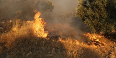 Muğla’da Alevler Yükseliyor: Yatağan ve Menteşe’de Yangınlar Sürüyor mugla-nin-mentese-ve-yatagan-ilcelerinde-orman-17731926_4145_amp