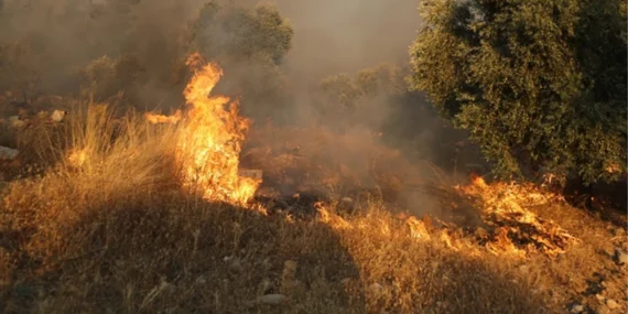 Muğla’da Alevler Yükseliyor: Yatağan ve Menteşe’de Yangınlar Sürüyor Muğla’da Alevler Yükseliyor: Yatağan ve Menteşe’de Yangınlar Sürüyor