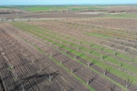 photo_2024-08-22_14-05-26