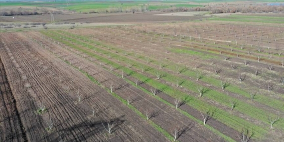 Devlet 2 Yıl Boyunca İşlenmeyen Tarım Arazilerini Kiraya Verecek Devlet 2 Yıl Boyunca İşlenmeyen Tarım Arazilerini Kiraya Verecek