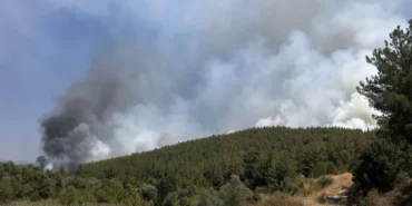 Muğla'da İki İlçede Eş Zamanlı Orman Yangını Çıktı yeni-proje-2024-08-18t144110-6ndb_cover.jpg