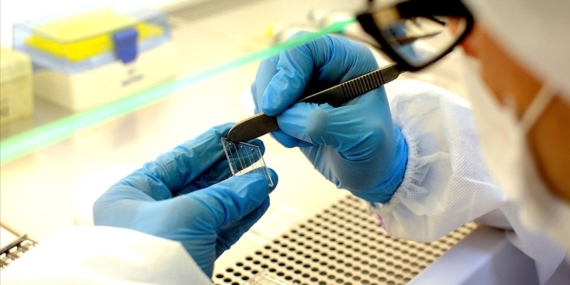 Yeni yapay zeka aracı AINU kanser hücrelerini nano ölçekte tespit ediyor Yeni yapay zeka aracı AINU kanser hücrelerini nano ölçekte tespit ediyor