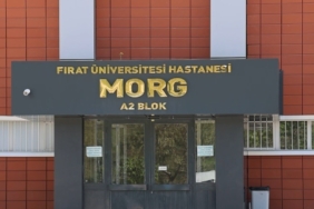 dugun-konvoyunda-ateslenen-mermi-balkondaki-7-yasindaki-nisayi-hayattan-kopardi-DqiWP1zJ.jpg