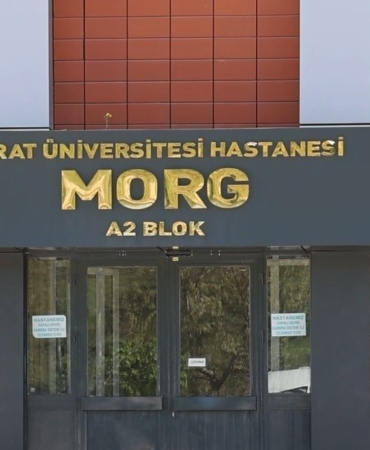 dugun-konvoyunda-ateslenen-mermi-balkondaki-7-yasindaki-nisayi-hayattan-kopardi-DqiWP1zJ.jpg