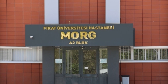 Muş’ta Düğün Konvoyunda Açılan Ateş 7 Yaşındaki Nisa Sönmez’in Hayatına Mal Oldu Muş’ta Düğün Konvoyunda Açılan Ateş 7 Yaşındaki Nisa Sönmez’in Hayatına Mal Oldu