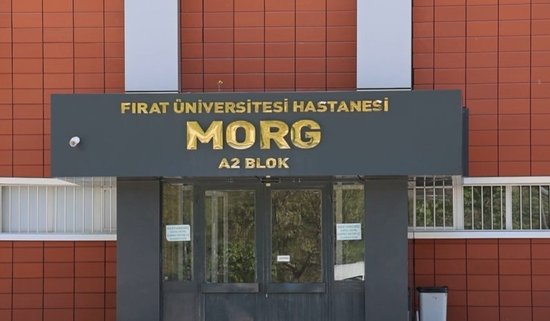 dugun-konvoyunda-ateslenen-mermi-balkondaki-7-yasindaki-nisayi-hayattan-kopardi-DqiWP1zJ.jpg
