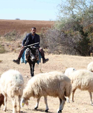 elazigda-coban-bulma-krizi-gencler-geleneksel-meslegi-tercih-etmiyor-iNUsuCaA.jpg