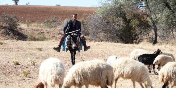 Elazığ'da Çoban Bulma Krizi: Gençler Geleneksel Mesleği Tercih Etmiyor Elazığ’da Çoban Bulma Krizi: Gençler Geleneksel Mesleği Tercih Etmiyor