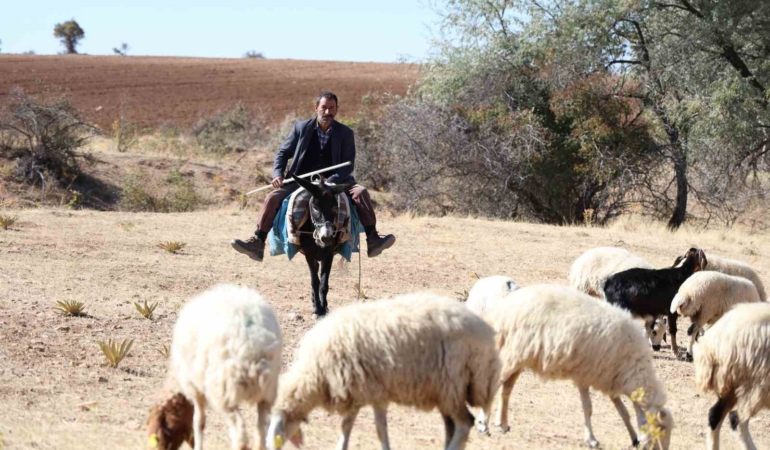 elazigda-coban-bulma-krizi-gencler-geleneksel-meslegi-tercih-etmiyor-iNUsuCaA.jpg