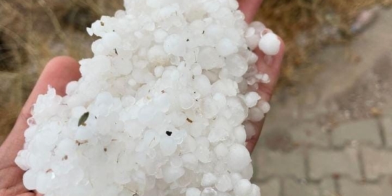 Elazığ'ın Baskil İlçesinde Dolu Yağışı Kayısı Bahçelerine Zarar Verdi Elazığ’ın Baskil İlçesinde Dolu Yağışı Kayısı Bahçelerine Zarar Verdi
