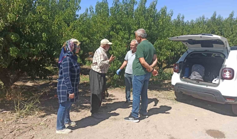 elazigda-seftali-bahcelerinde-zararli-kontrolleri-devam-ediyor-XBgpOzvA.jpg