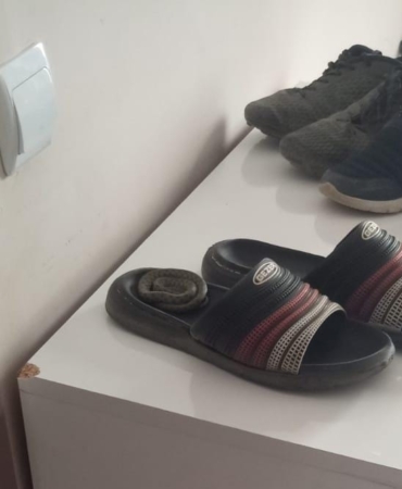 elazigda-terlikten-cikan-yilan-apartman-sakinlerini-saskina-ugratti-324lhscj.jpg