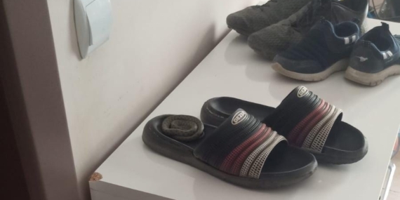 Elazığ'da Terlikten Çıkan Yılan Apartman Sakinlerini Şaşkına Uğrattı Elazığ’da Terlikten Çıkan Yılan Apartman Sakinlerini Şaşkına Uğrattı