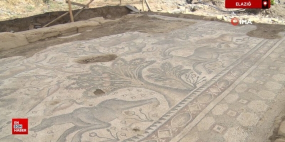 Elazığ'da Tesadüfen Bulunan Tarihi Mozaik Türkiye'de Bir İlk Olabilir Elazığ’da Tesadüfen Bulunan Tarihi Mozaik Türkiye’de Bir İlk Olabilir