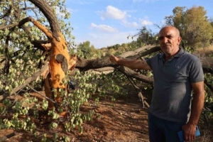 koyluler-yagmurlu-havada-disari-cikmaya-korkuyor-ayni-bolgeye-3-defa-yildirim-dustu-syGZUul7.jpg
