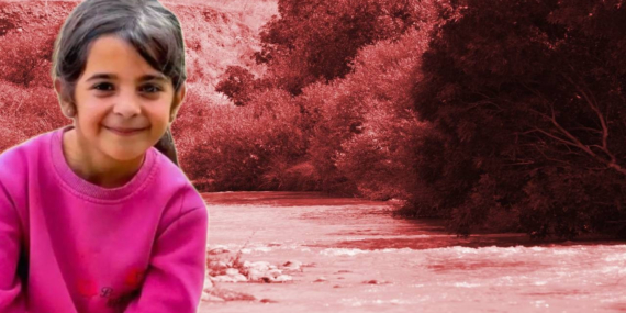 Narin Güran cinayeti: Neden failler ve olayın sebebi belirlenemedi? Narin Güran cinayeti: Neden failler ve olayın sebebi belirlenemedi?