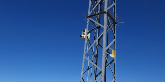 Sivrice’de Muhtar, Orman Yangınlarına Karşı Kendi İmkanlarıyla Güvenlik Önlemi Aldı